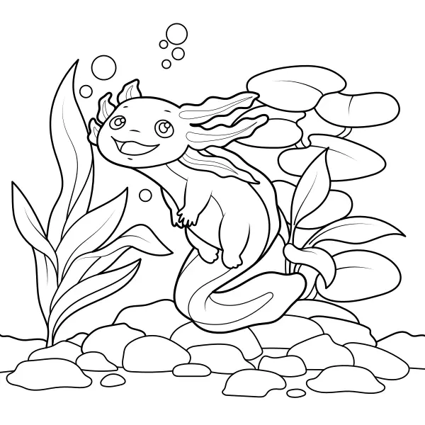 Axolotl | Online omalovánky pro děti
